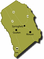 Map Of Effingham County Ga Effingham County Tax Assessor's Office