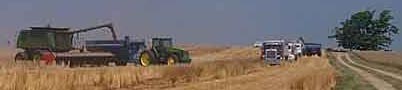 Harvesting Local Crops